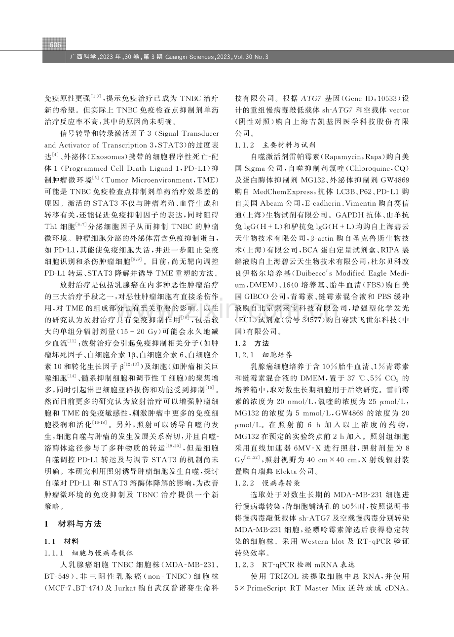 照射诱导自噬对三阴性乳腺癌中PD-L1介导免疫抑制的影响.pdf_第2页