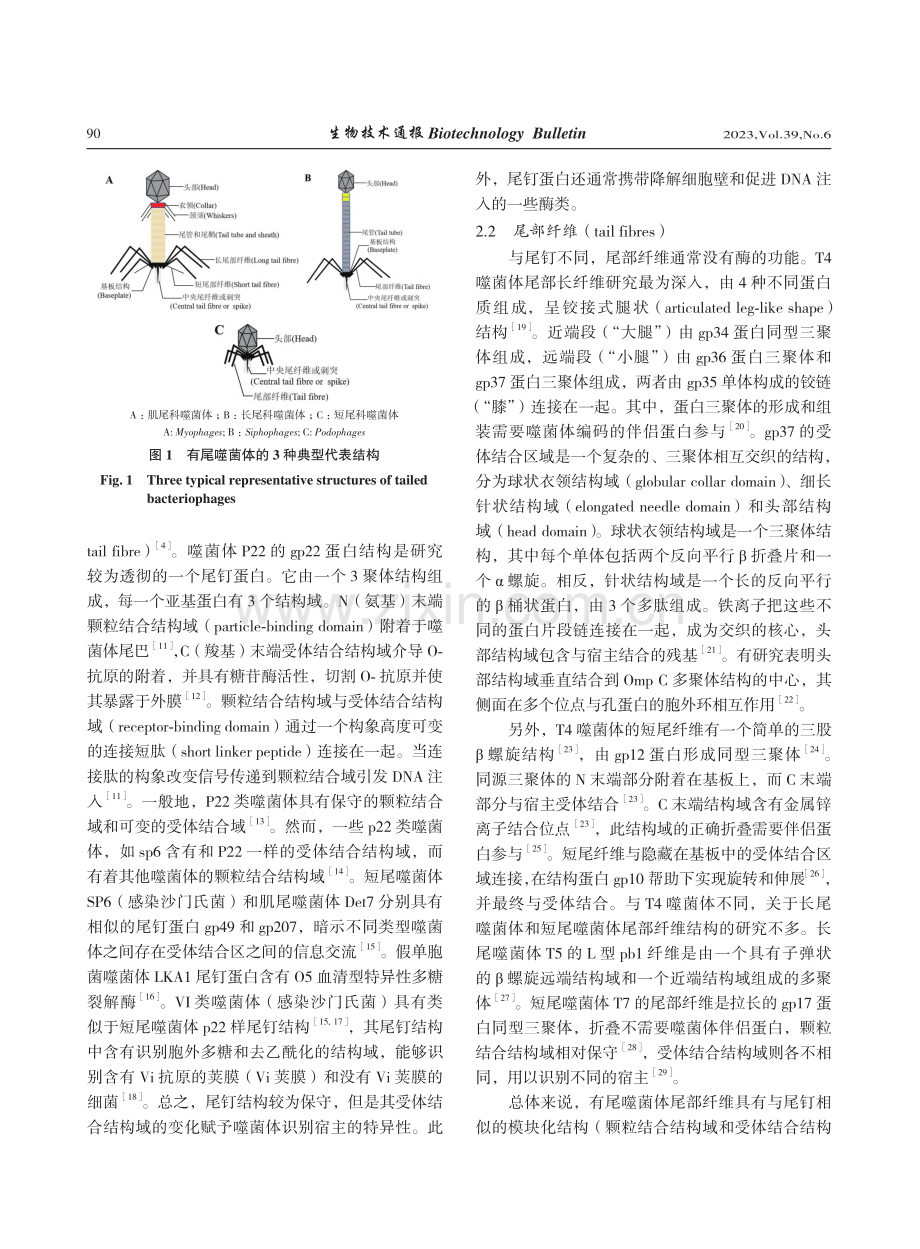 有尾噬菌体的结构及其受体研究进展_李托_.pdf_第3页