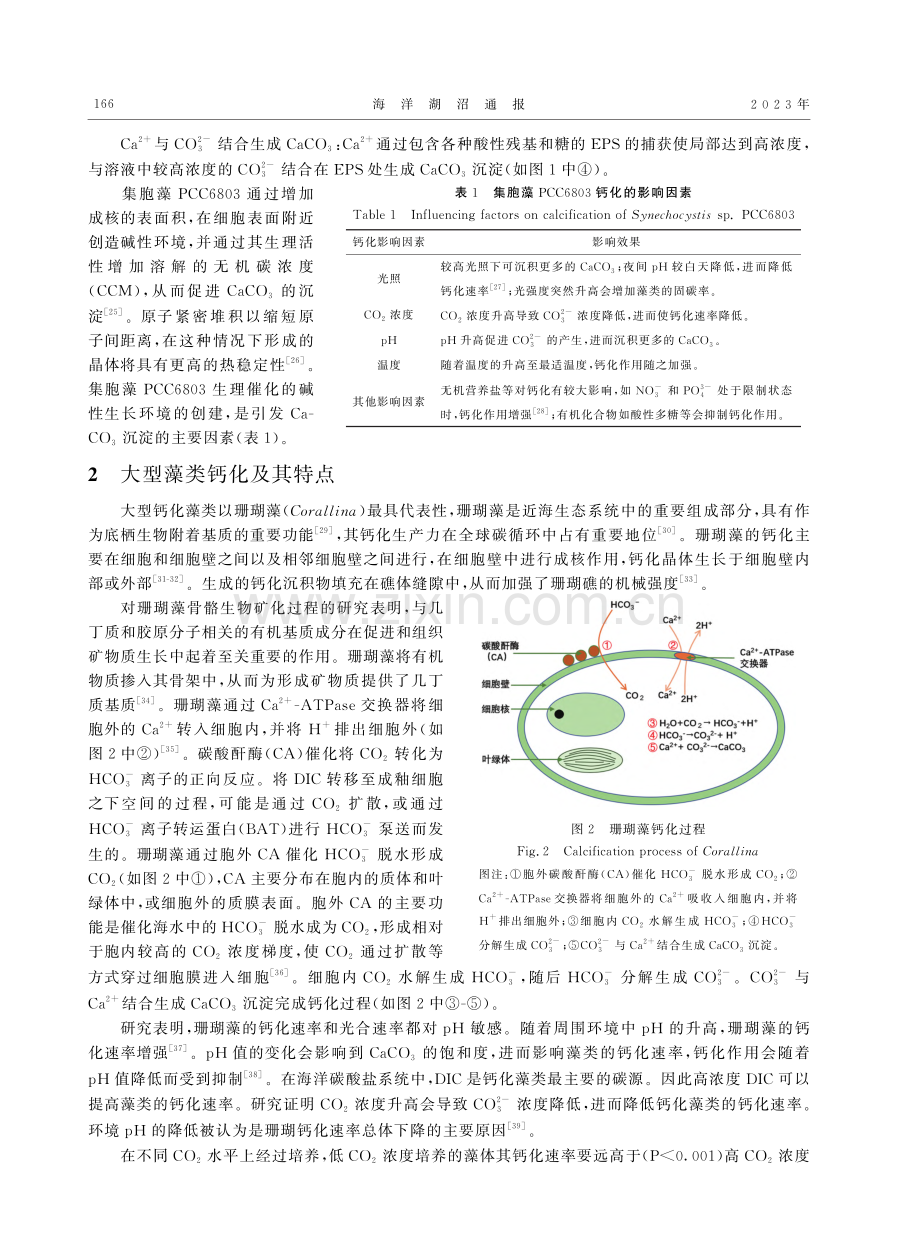 藻类生物钙化研究进展_孙林.pdf_第3页