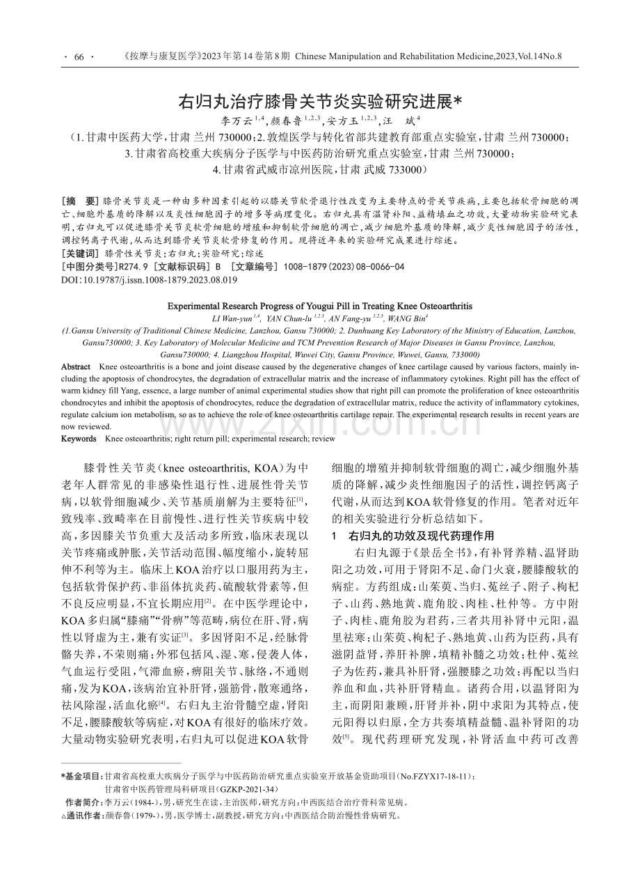 右归丸治疗膝骨关节炎实验研究进展_李万云.pdf_第1页