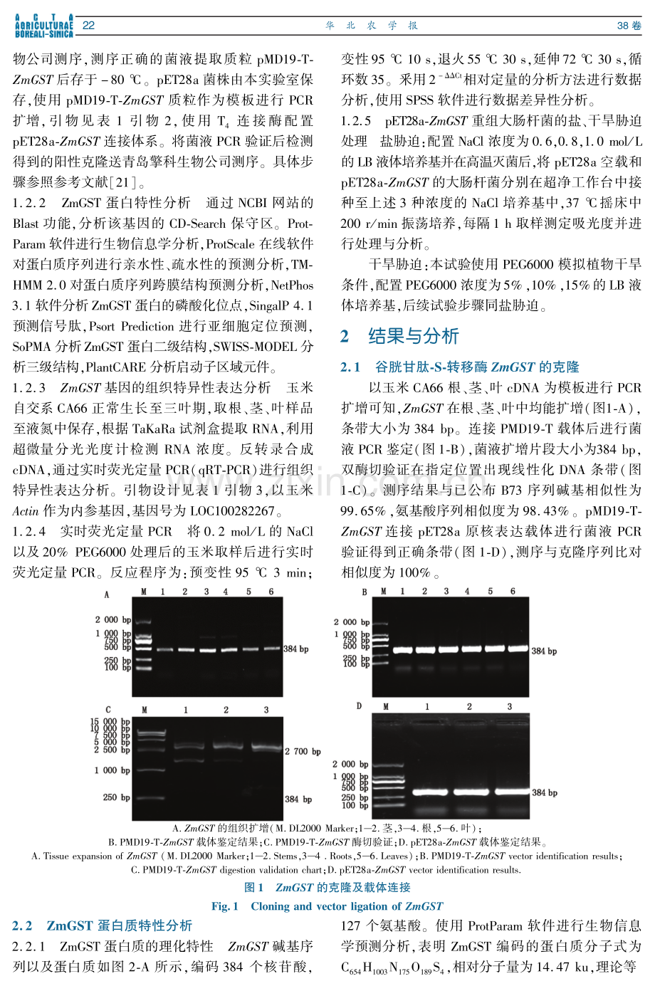 玉米 ZmGST 基因的克隆及表达特性分析.pdf_第3页