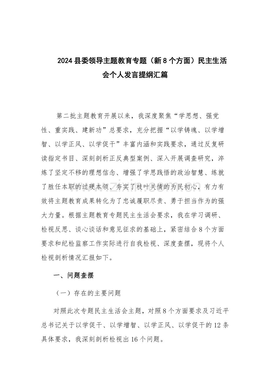 2024领导主题教育专题（新8个方面）个人发言提纲汇篇.docx_第1页