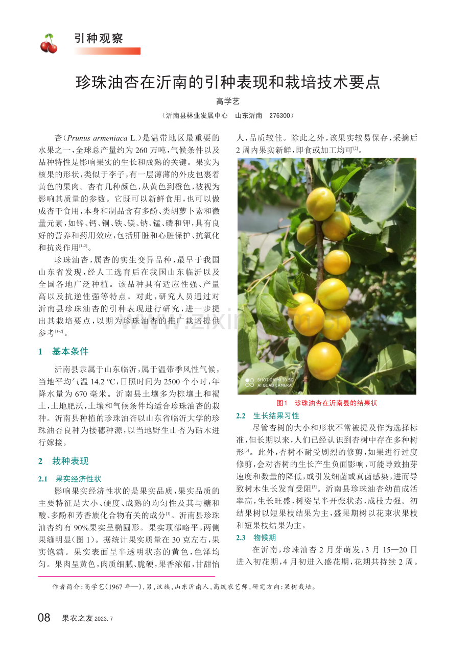 珍珠油杏在沂南的引种表现和栽培技术要点.pdf_第1页