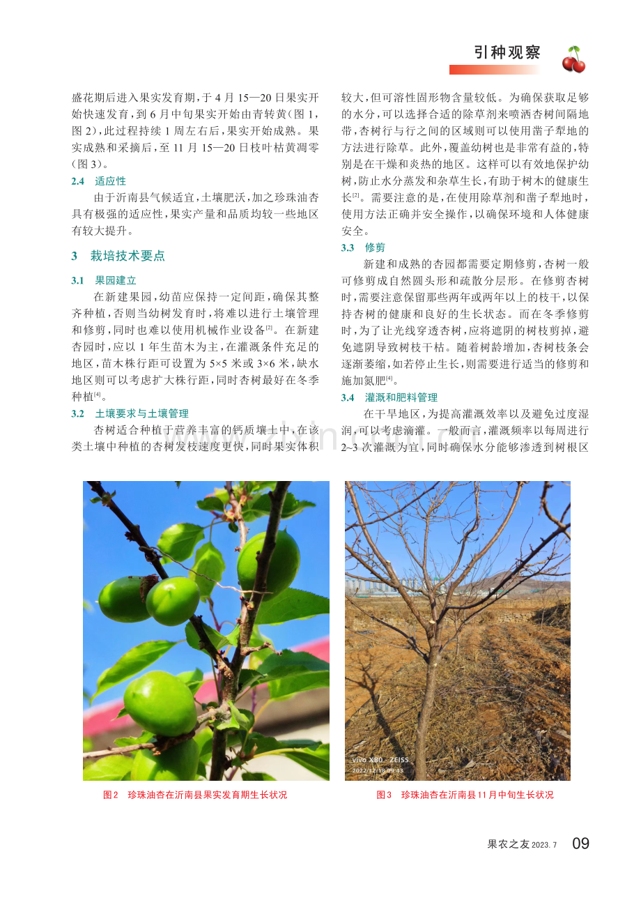 珍珠油杏在沂南的引种表现和栽培技术要点.pdf_第2页