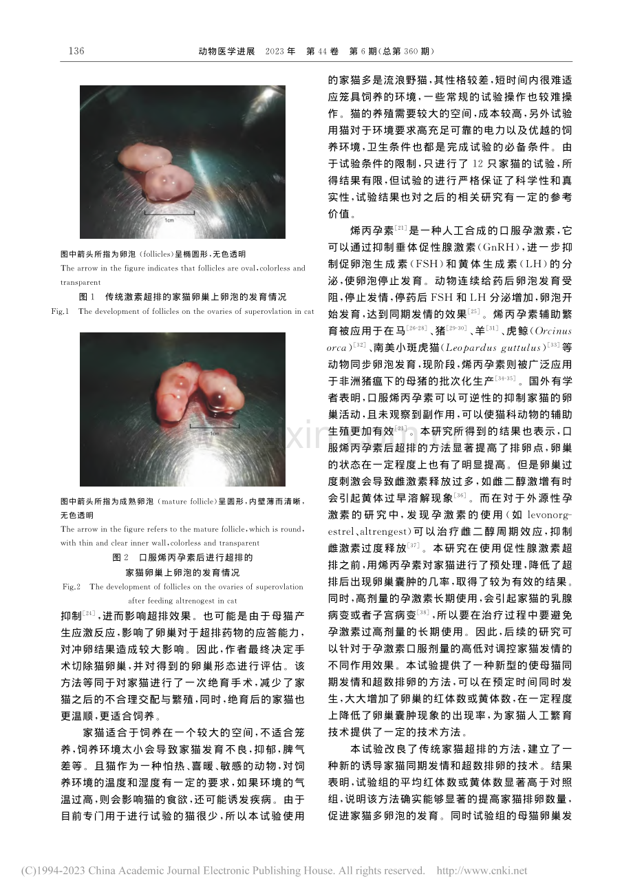 诱导家猫同期发情的试验报告_张迪.pdf_第3页