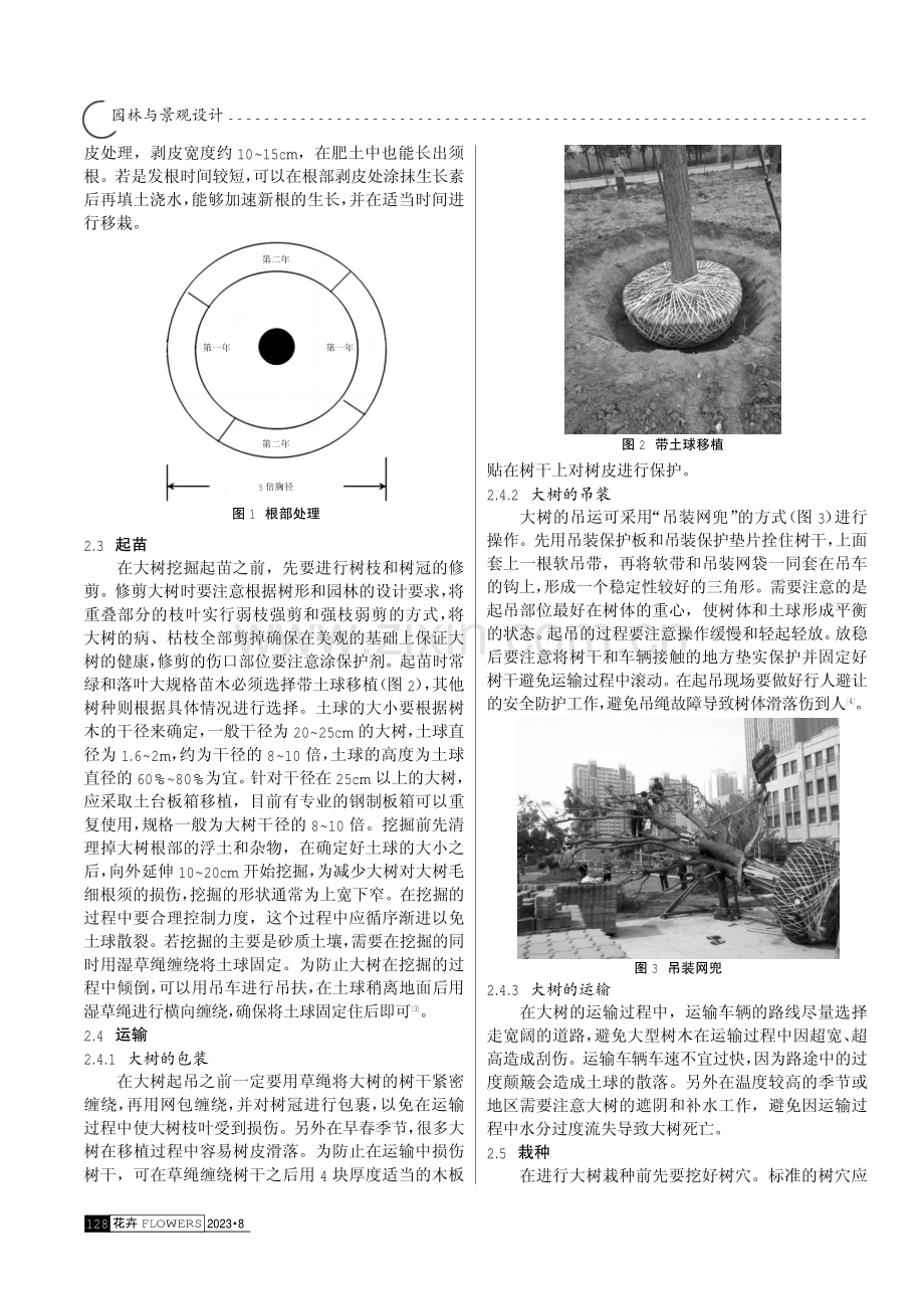 园林绿化施工中大树移栽技术措施的有效应用分析.pdf_第2页