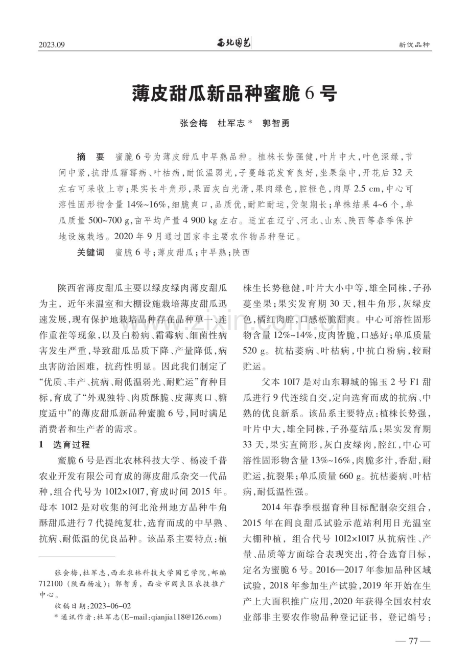 薄皮甜瓜新品种蜜脆6号.pdf_第1页