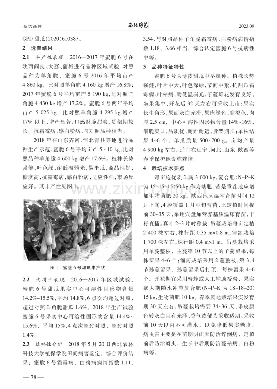 薄皮甜瓜新品种蜜脆6号.pdf_第2页