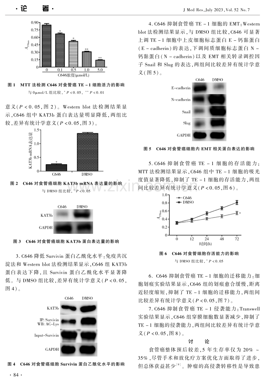 C646靶向KAT3b通过Survivin乙酰化调控食管癌侵袭和迁移.pdf_第3页