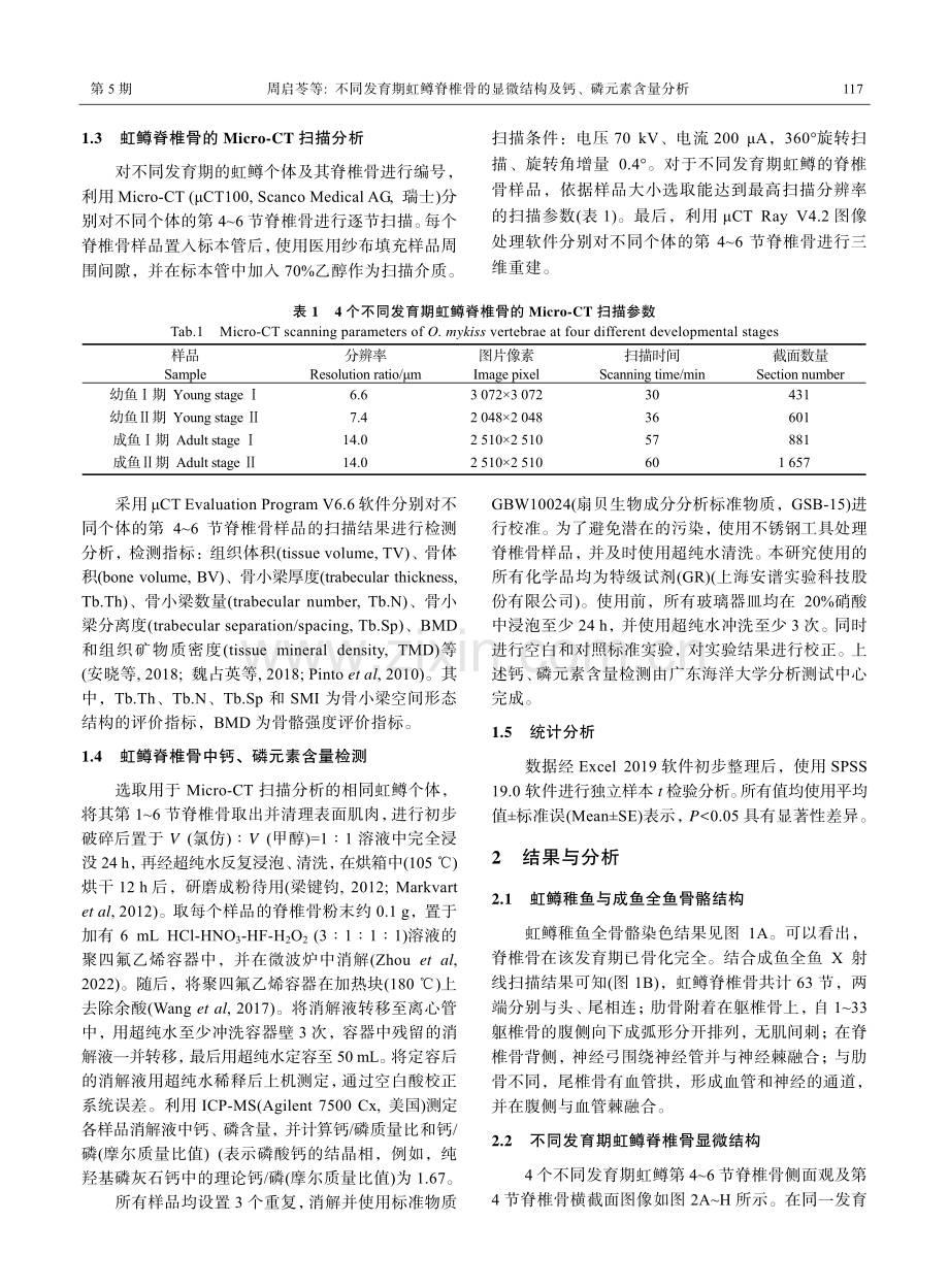 不同发育期虹鳟脊椎骨的显微结构及钙、磷元素含量分析.pdf_第3页