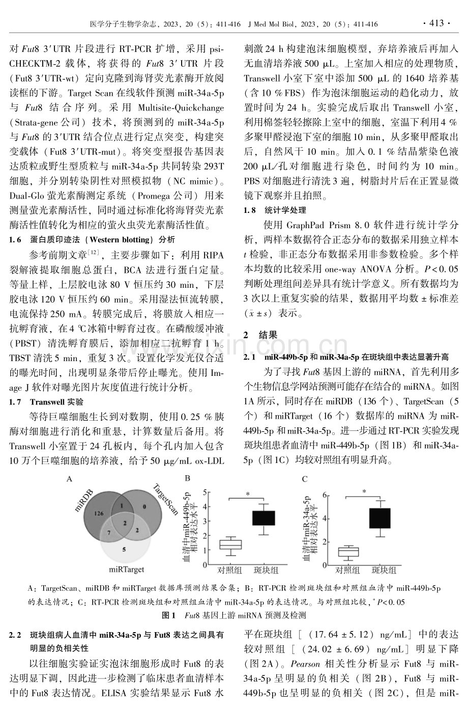 miRNA-34a-5p靶向Fut8抑制巨噬源性泡沫细胞的运动能力.pdf_第3页