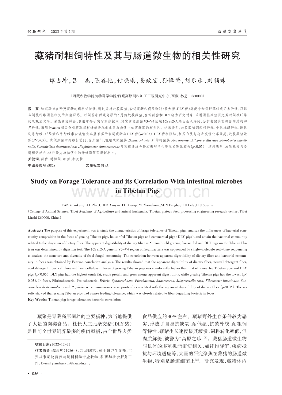 藏猪耐粗饲特性及其与肠道微生物的相关性研究.pdf_第1页