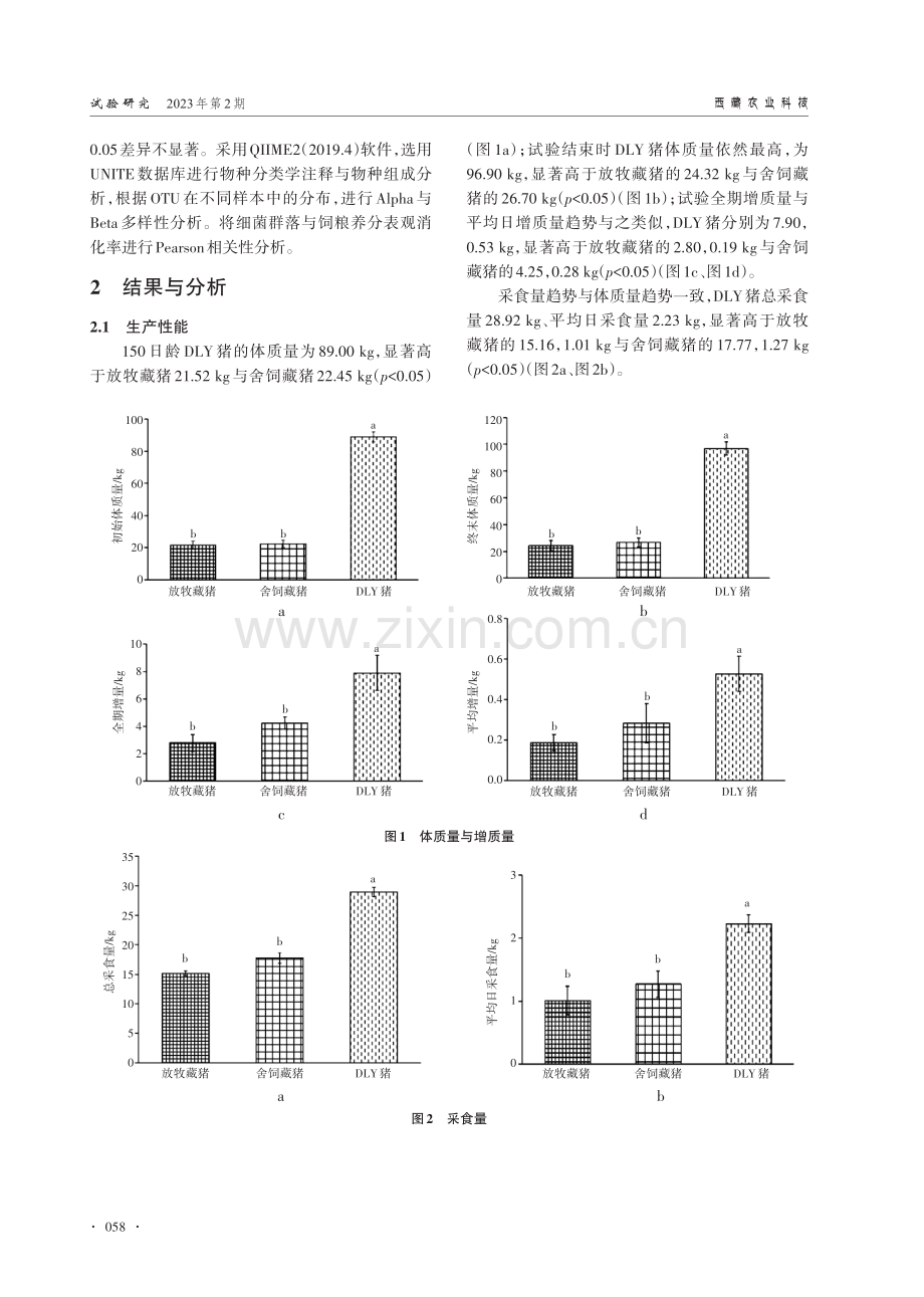 藏猪耐粗饲特性及其与肠道微生物的相关性研究.pdf_第3页