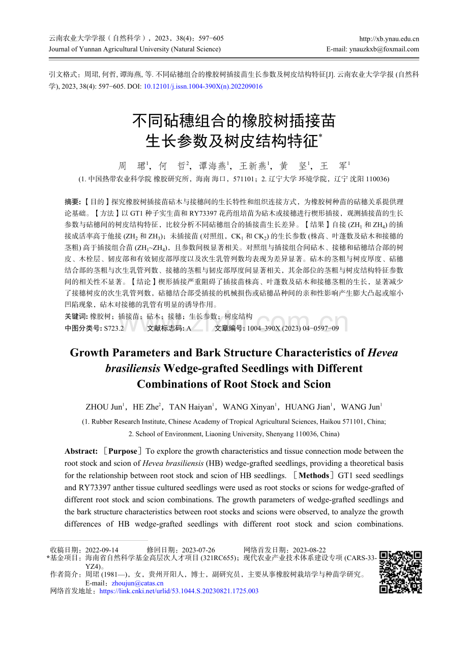 不同砧穗组合的橡胶树插接苗生长参数及树皮结构特征.pdf_第1页