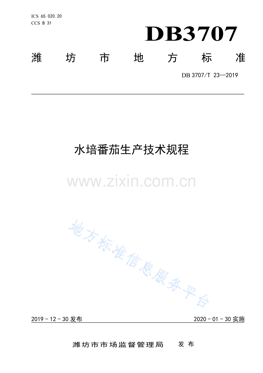 DB3707_T023—2019水培番茄生产技术规程.pdf_第1页