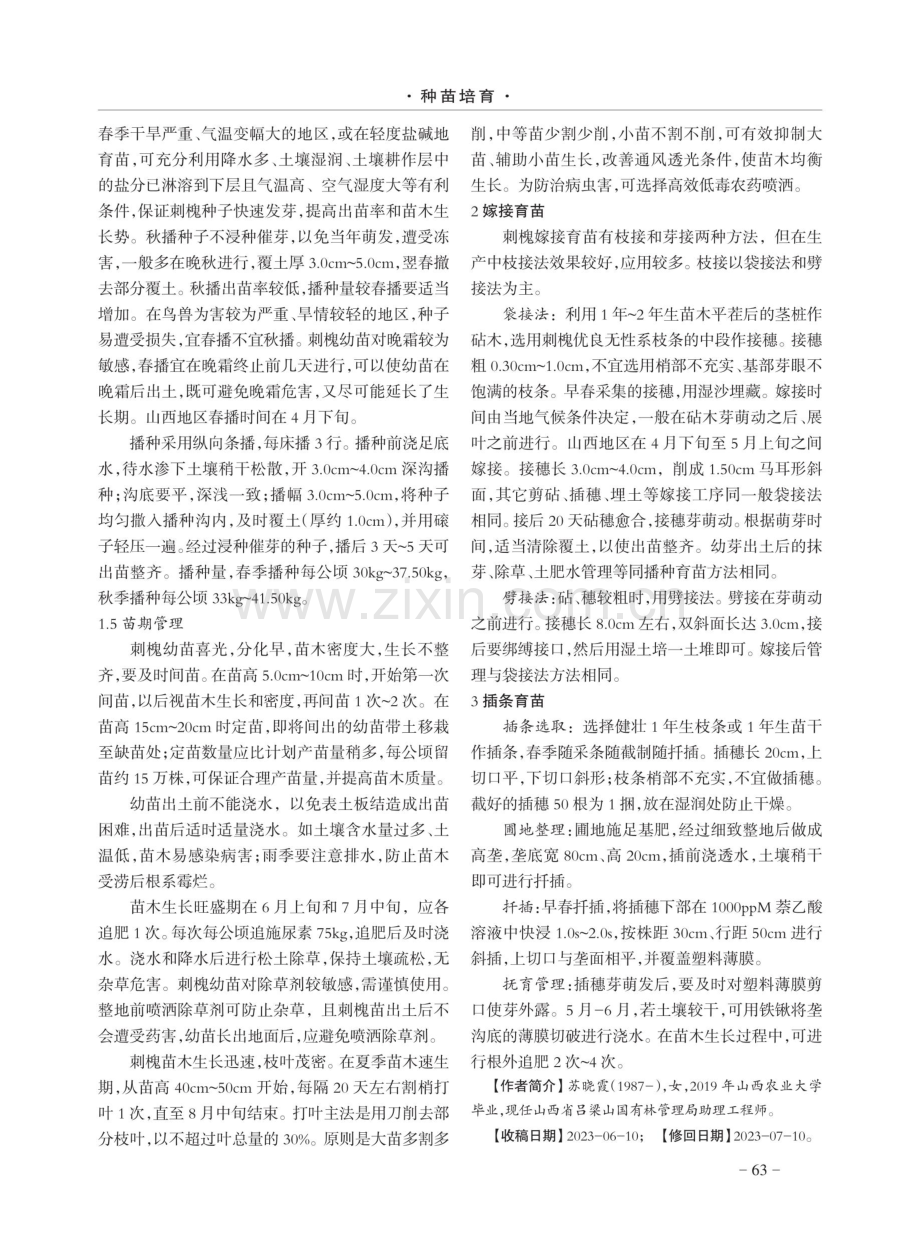 刺槐育苗技术研究.pdf_第2页