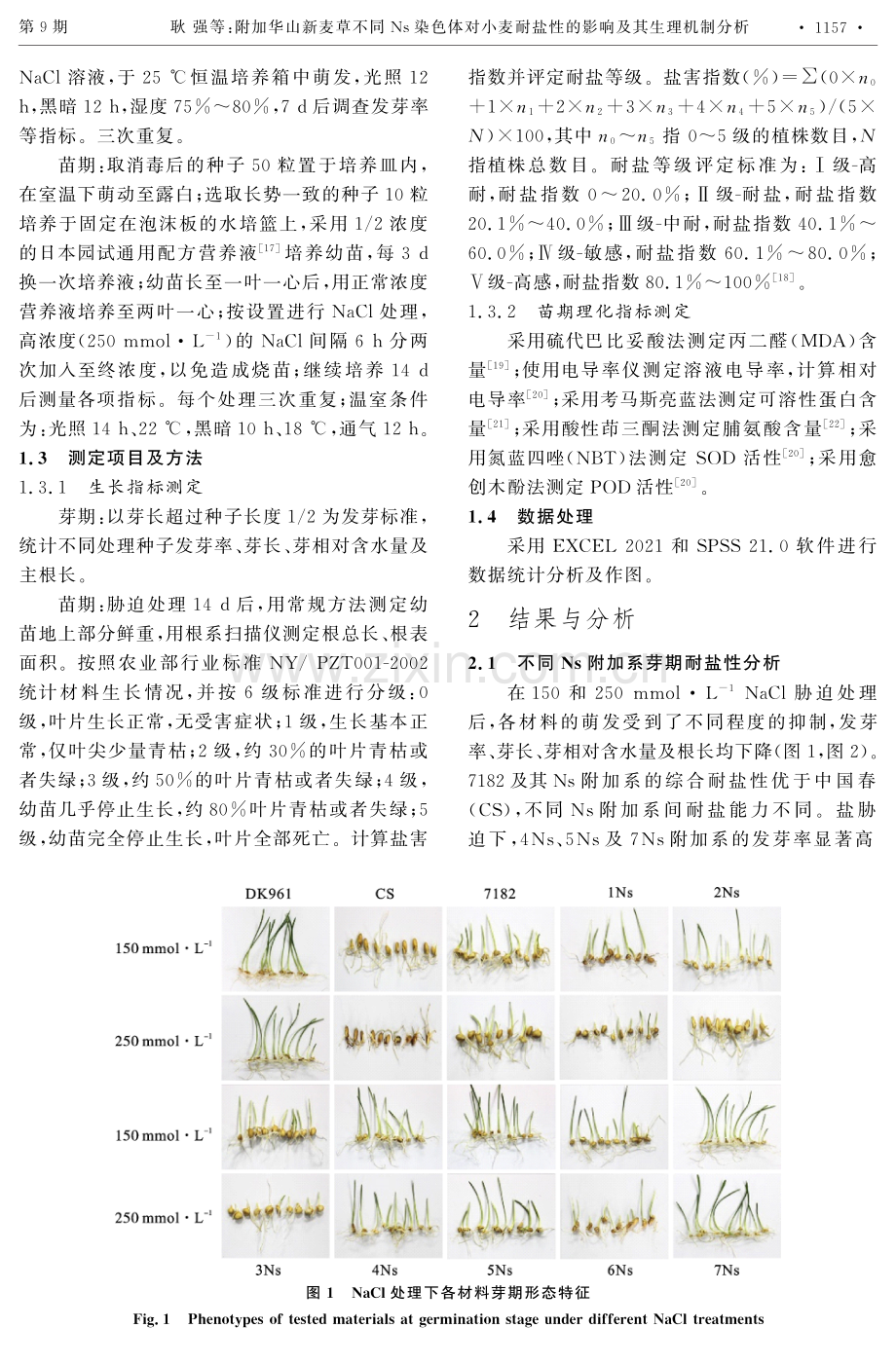 附加华山新麦草不同Ns染色体对小麦耐盐性的影响及其生理机制分析.pdf_第3页