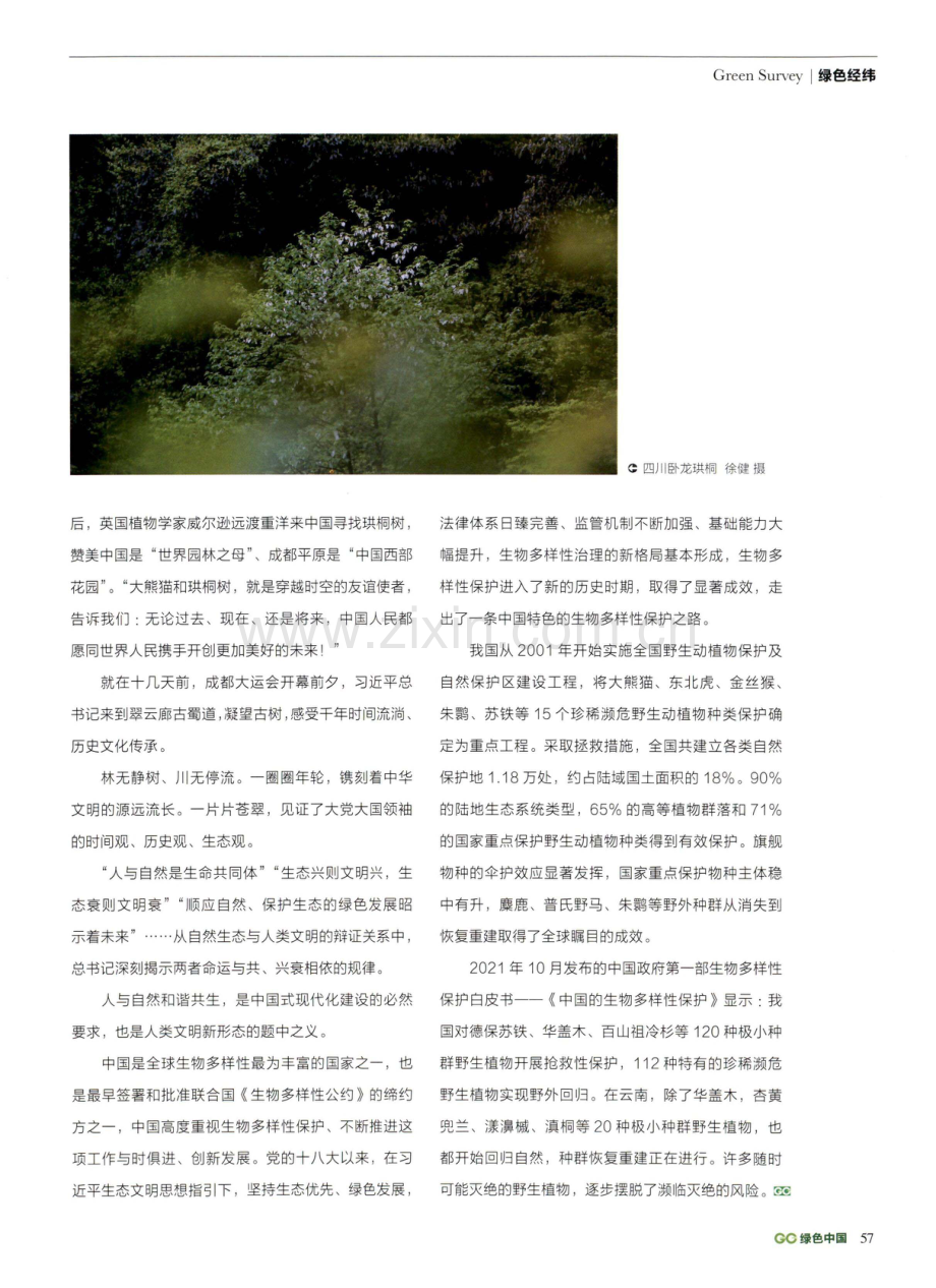 “鸽子花”在大运会助力野生动植物保护.pdf_第2页