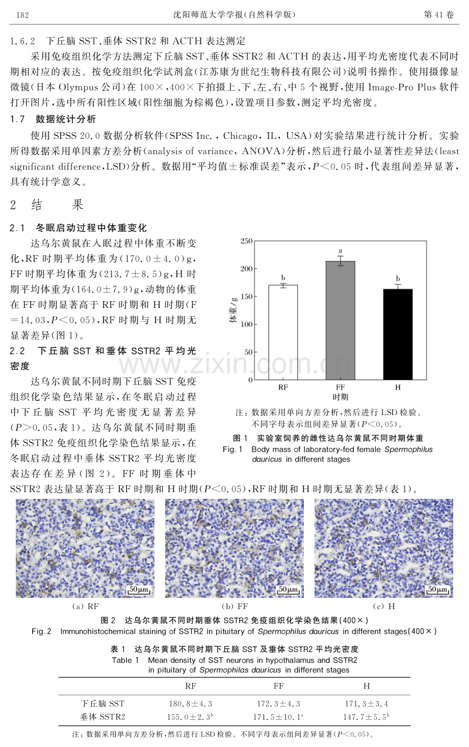 达乌尔黄鼠（Spermophilus dauricus）冬眠启动过程中枢生长抑素信号对HPA轴的抑制.pdf_第3页