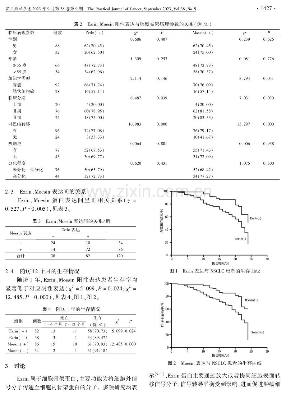 非小细胞肺癌患者Ezrin和Moesin表达及其临床意义.pdf_第3页