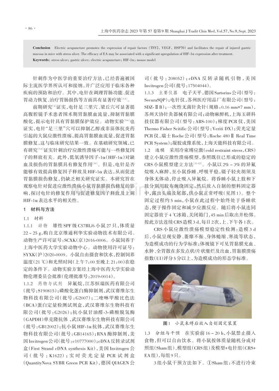 电针促进应激性溃疡小鼠胃黏膜损伤修复的实验研究.pdf_第2页