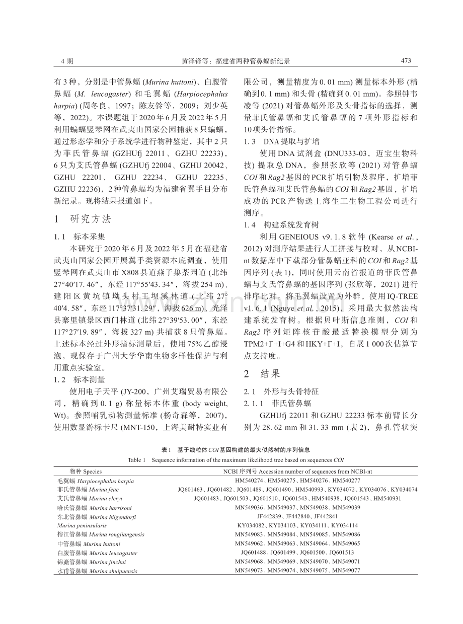 福建省两种管鼻蝠新纪录.pdf_第2页