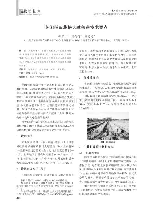 冬闲稻田栽培大球盖菇技术要点.pdf