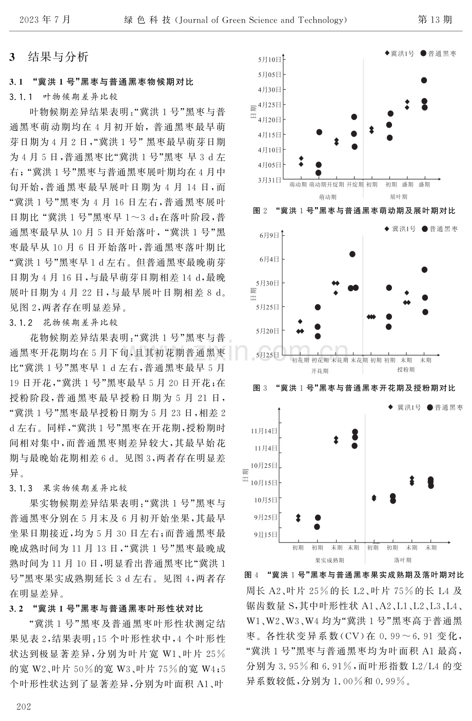 “冀洪1号”黑枣与普通黑枣物候期和叶果生长差异分析.pdf_第3页