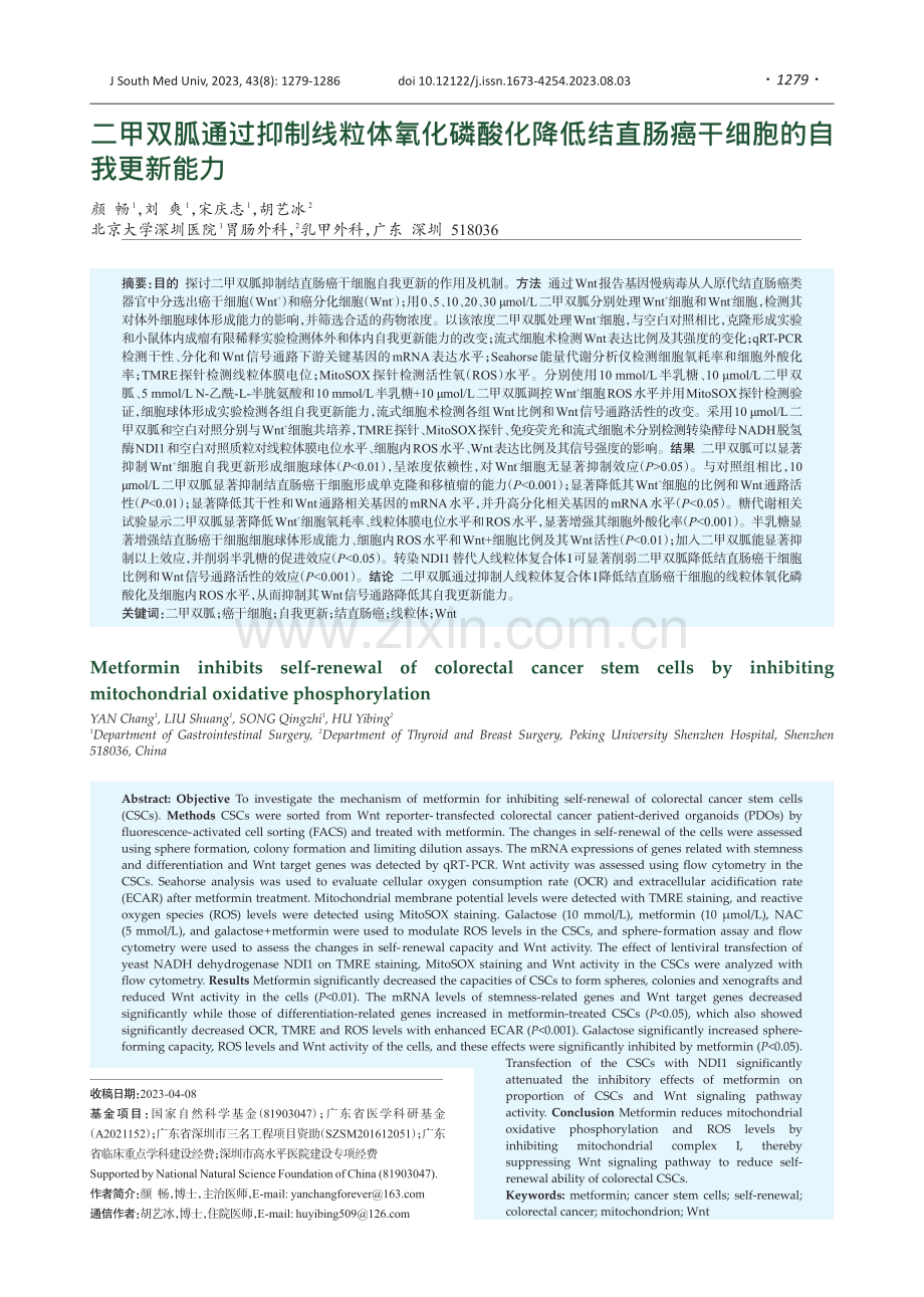 二甲双胍通过抑制线粒体氧化磷酸化降低结直肠癌干细胞的自我更新能力.pdf_第1页