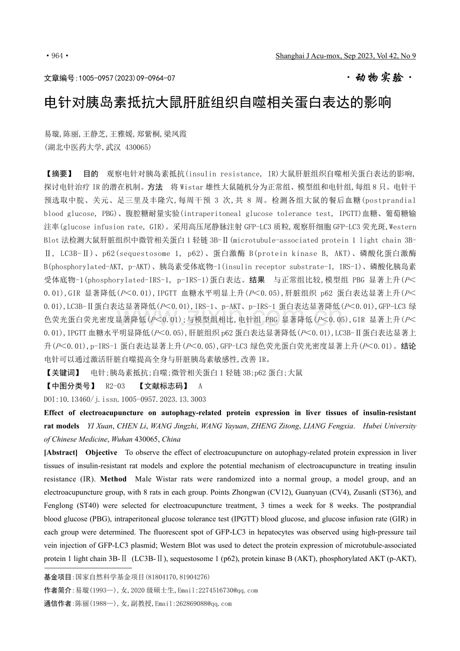 电针对胰岛素抵抗大鼠肝脏组织自噬相关蛋白表达的影响.pdf_第1页