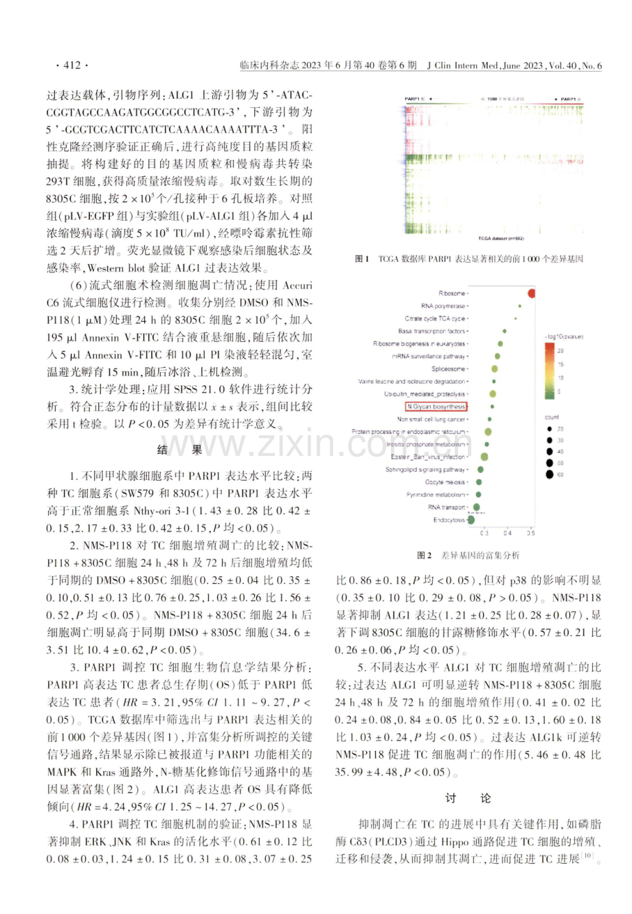 多聚腺苷二磷酸核糖聚合酶1调控β-1,4-甘露糖基转移酶介导甲状腺癌细胞增殖机制.pdf_第3页