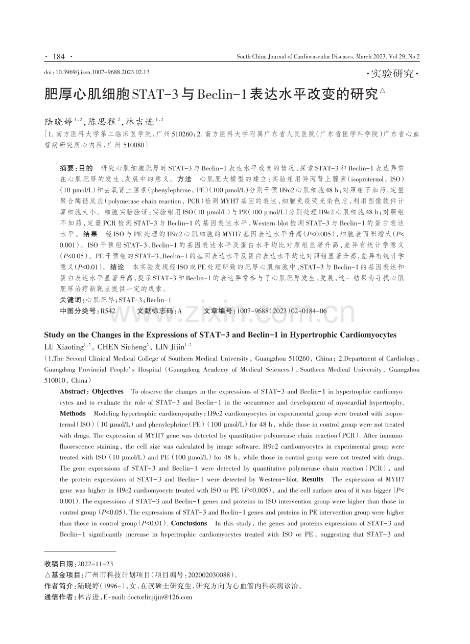 肥厚心肌细胞STAT-3与Beclin-1表达水平改变的研究.pdf_第1页