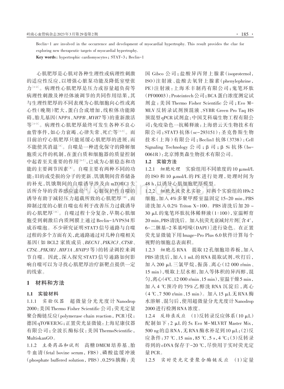 肥厚心肌细胞STAT-3与Beclin-1表达水平改变的研究.pdf_第2页