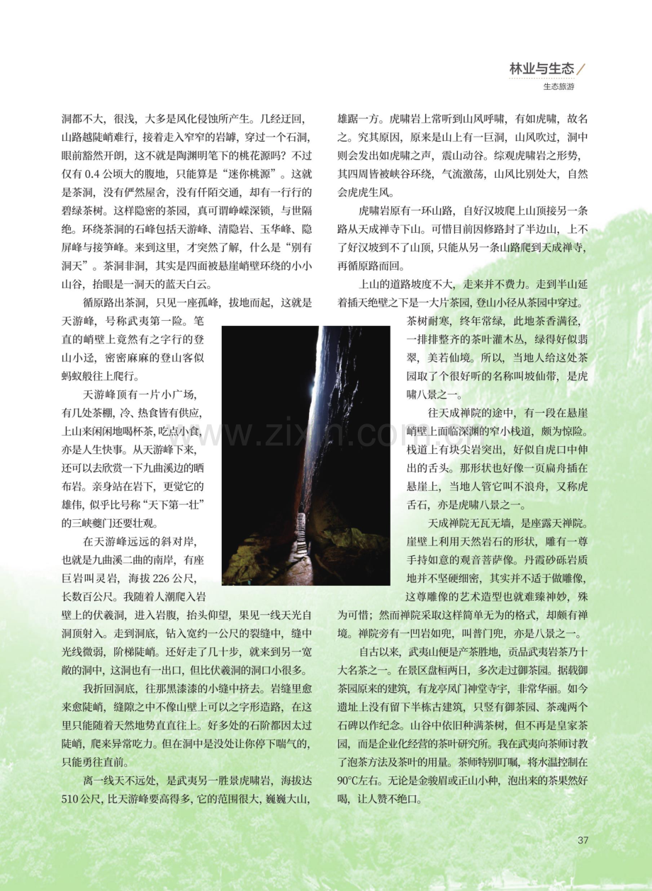 丹峰碧水武夷山.pdf_第2页