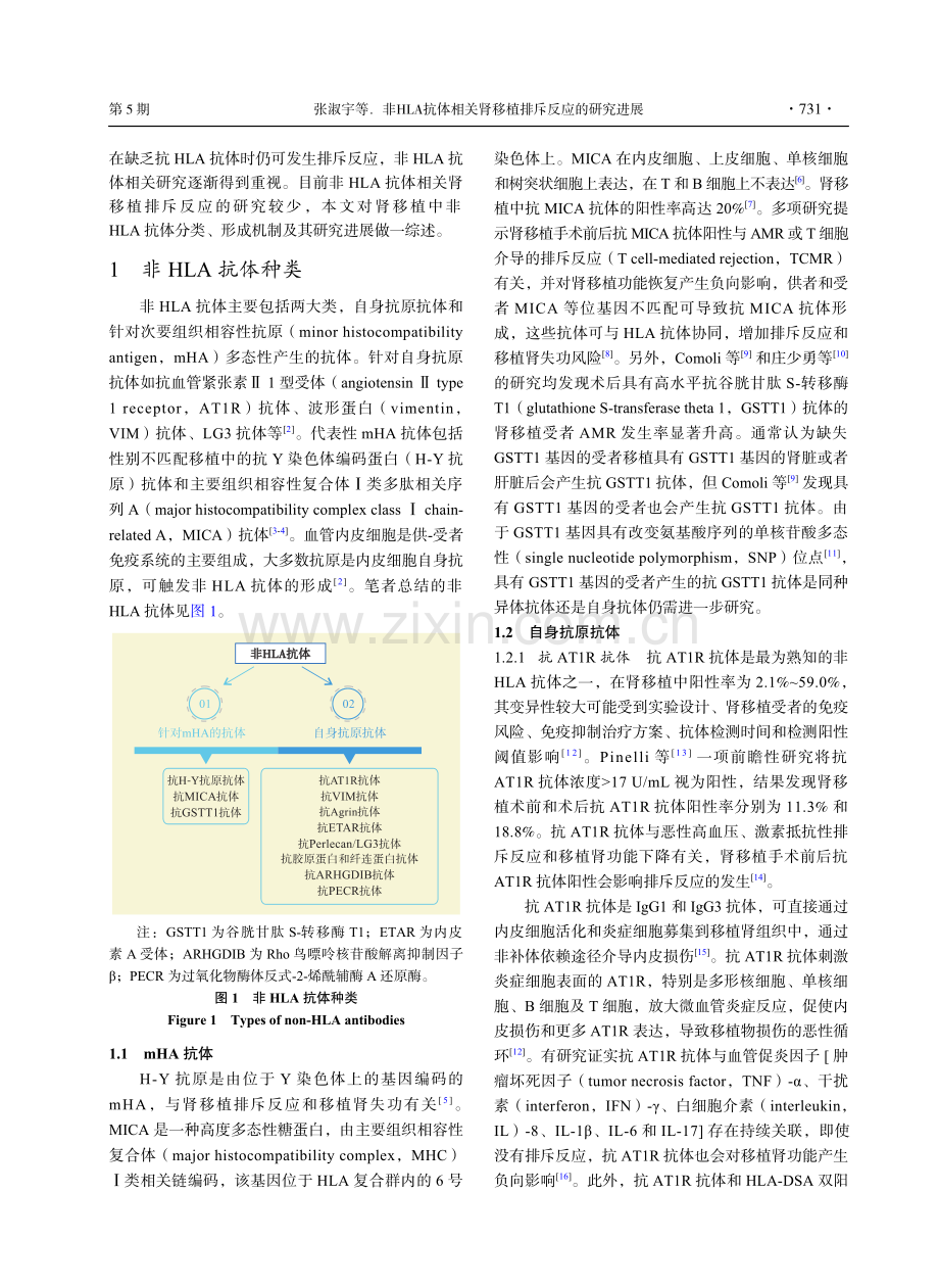 非HLA抗体相关肾移植排斥反应的研究进展.pdf_第2页