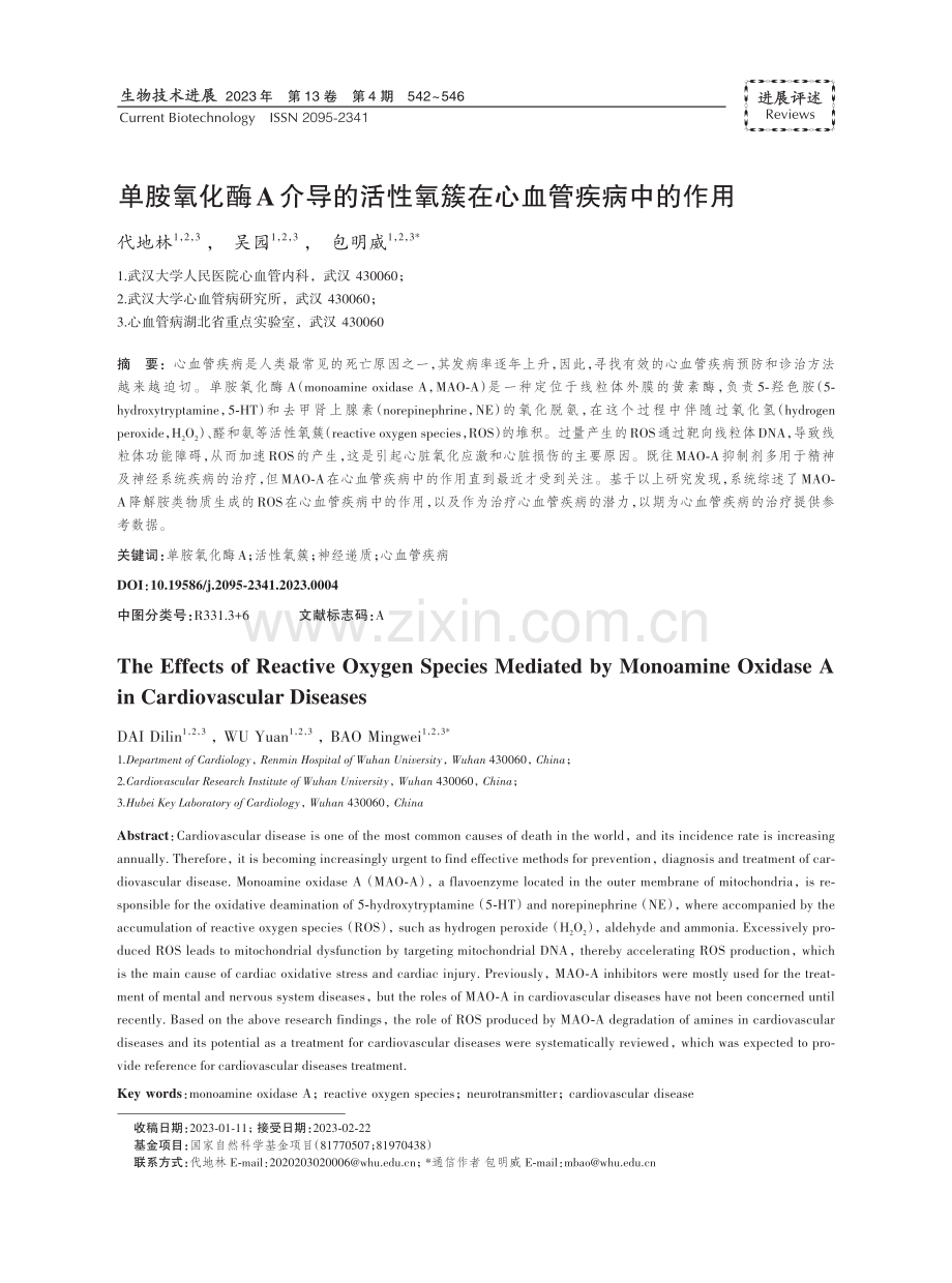 单胺氧化酶A介导的活性氧簇在心血管疾病中的作用.pdf_第1页