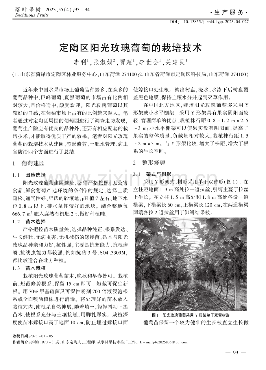 定陶区阳光玫瑰葡萄的栽培技术.pdf_第1页