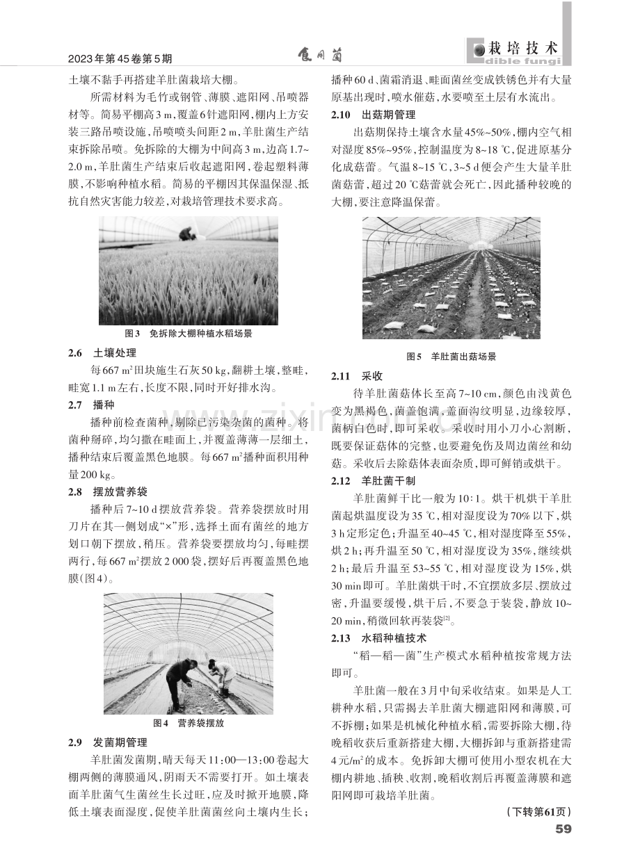 “稻—稻—菌”轮作技术及其示范成效.pdf_第2页