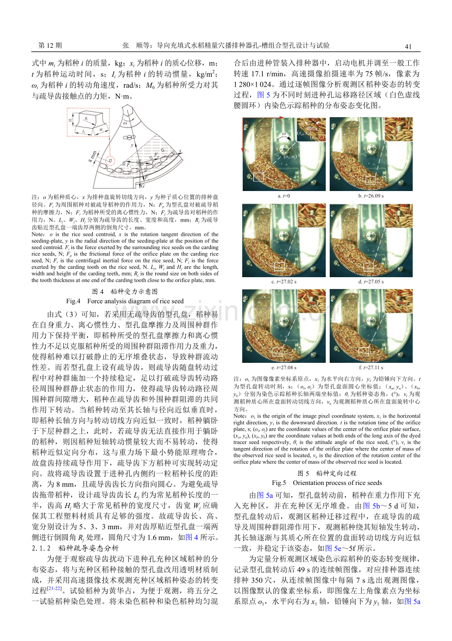 导向充填式水稻精量穴播排种器孔-槽组合型孔设计与试验.pdf_第3页