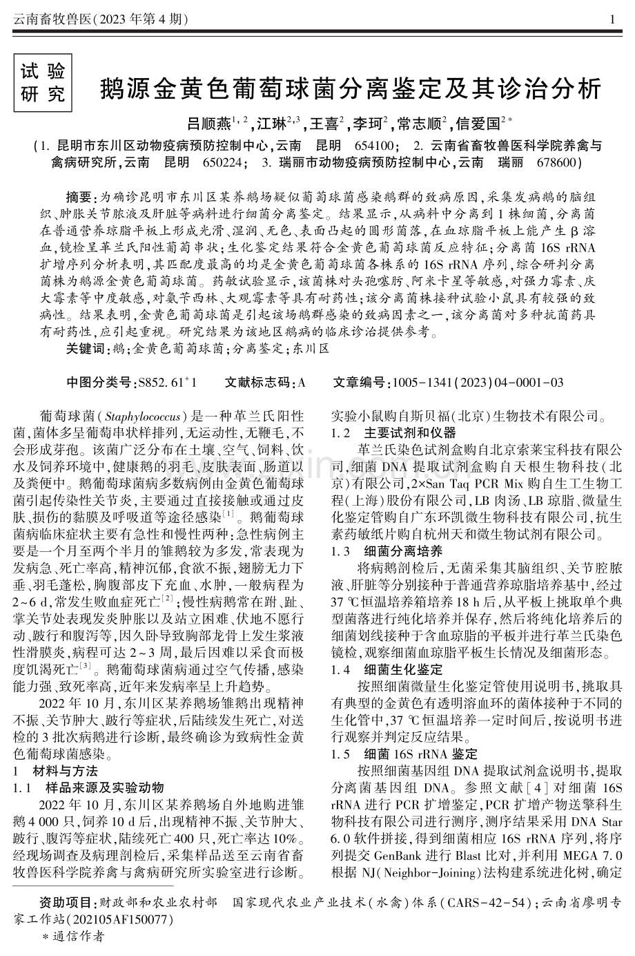 鹅源金黄色葡萄球菌分离鉴定及其诊治分析.pdf_第1页