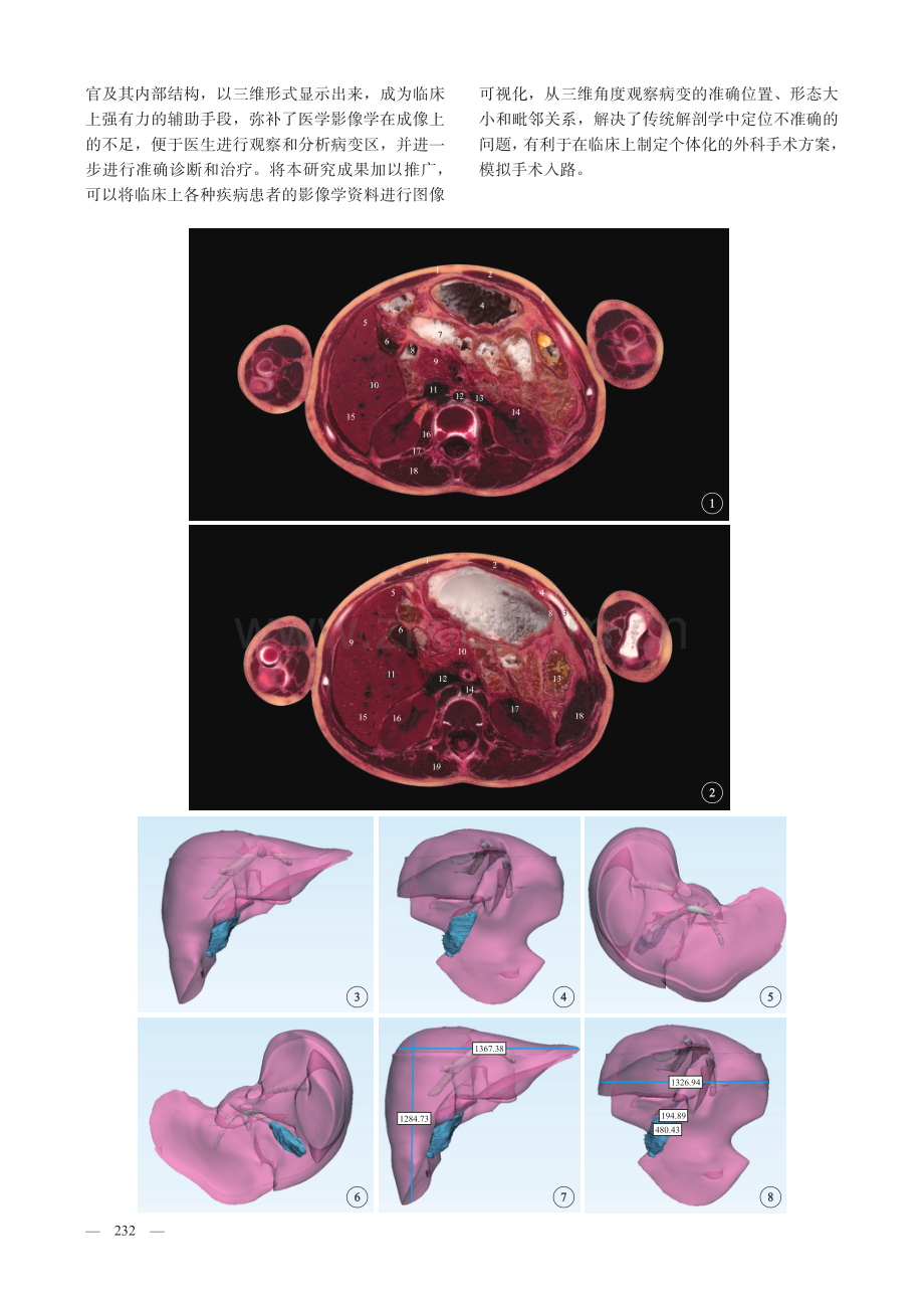 儿童肝超薄铣削断层解剖及可视化重建.pdf_第3页