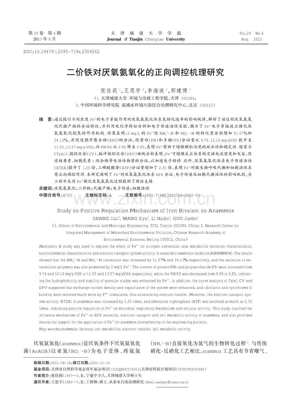 二价铁对厌氧氨氧化的正向调控机理研究.pdf_第1页