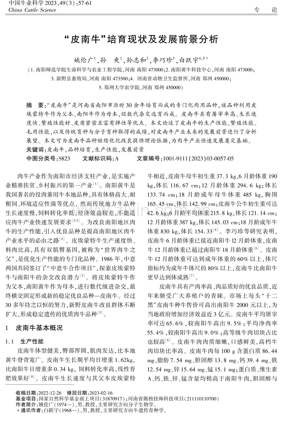 “皮南牛”培育现状及发展前景分析.pdf_第1页