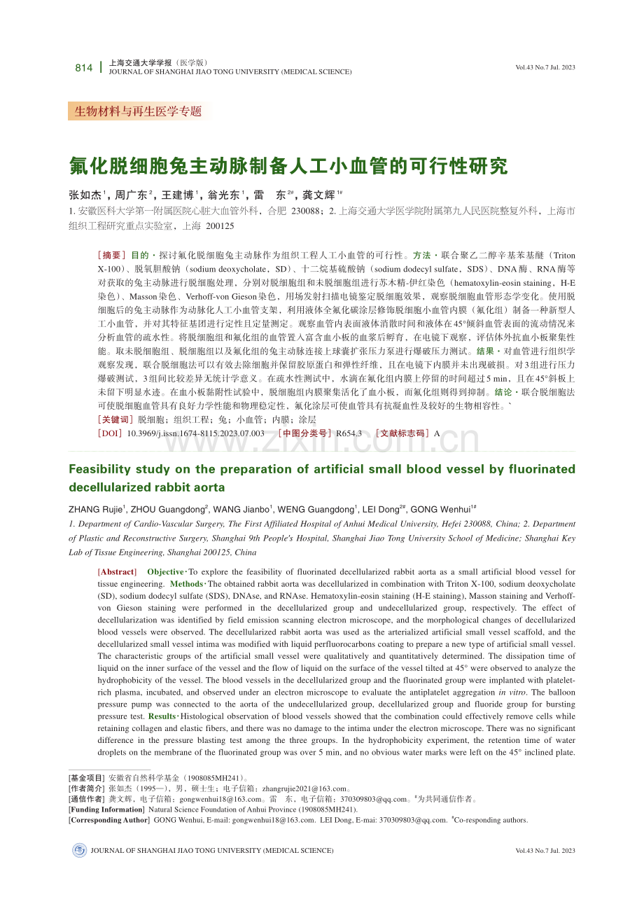 氟化脱细胞兔主动脉制备人工小血管的可行性研究.pdf_第1页