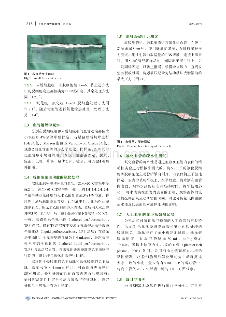 氟化脱细胞兔主动脉制备人工小血管的可行性研究.pdf_第3页