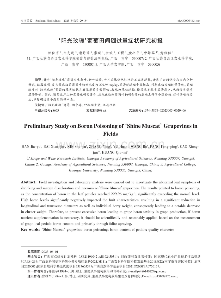 ‘阳光玫瑰’葡萄田间硼过量症状研究初报.pdf_第1页