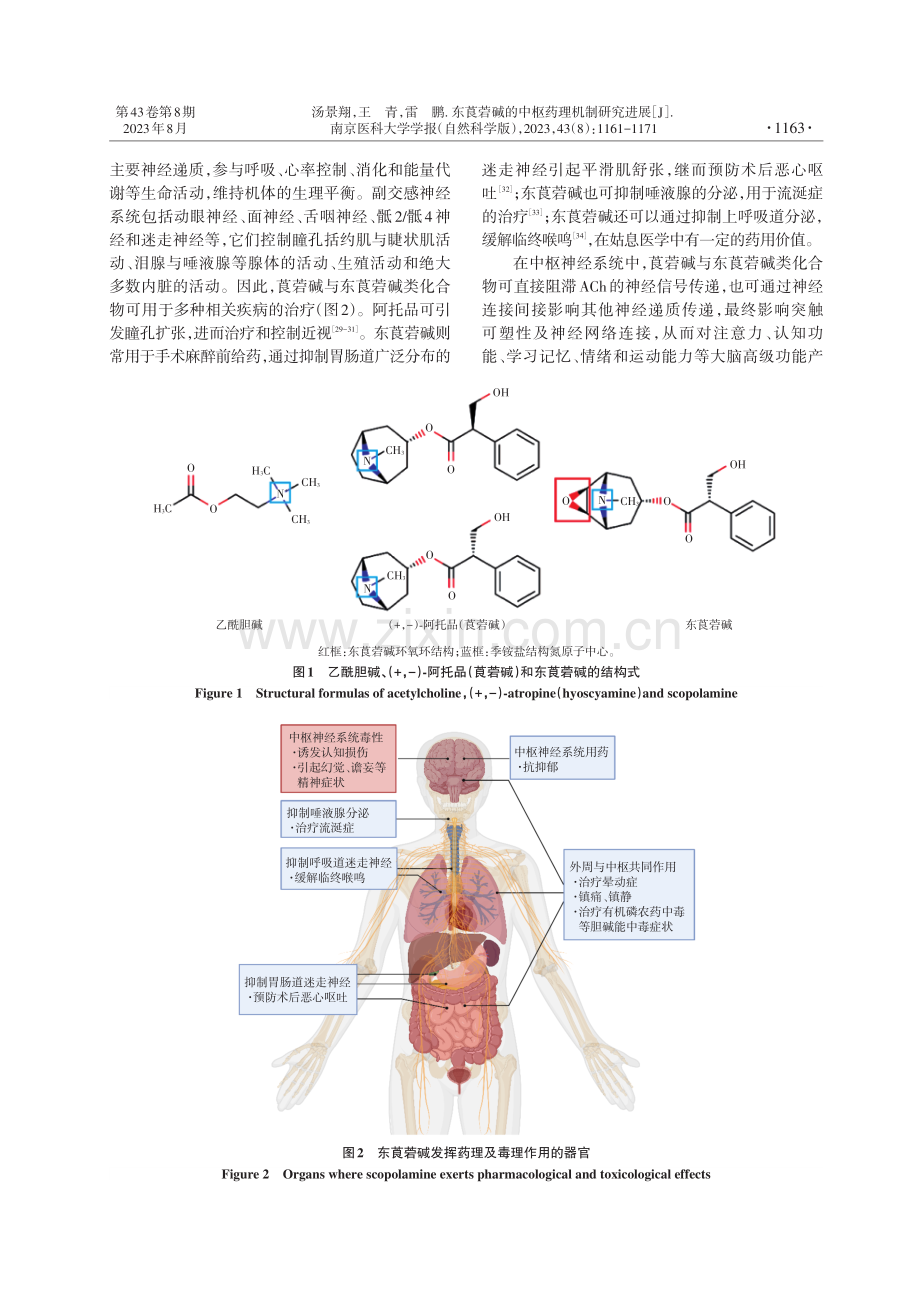 东莨菪碱的中枢药理机制研究进展.pdf_第3页