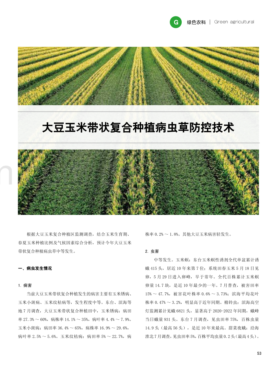 大豆玉米带状复合种植病虫草防控技术.pdf_第1页