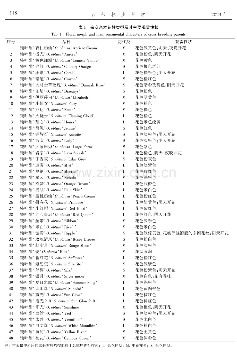 钝叶酢浆草品种间杂交结实性分析.pdf_第3页