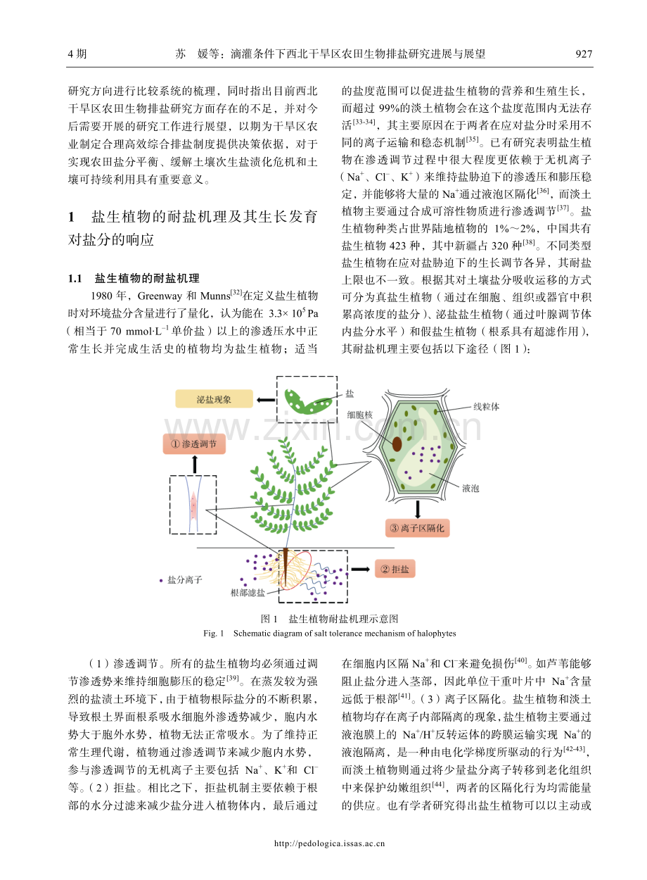 滴灌条件下西北干旱区农田生物排盐研究进展与展望.pdf_第3页